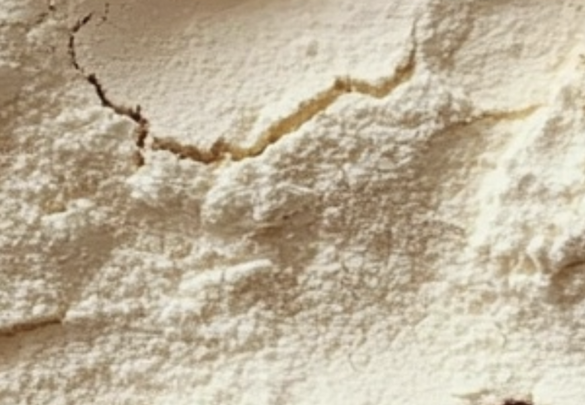 2,3-Dihydrobenzofuran-5-sulfonamide
