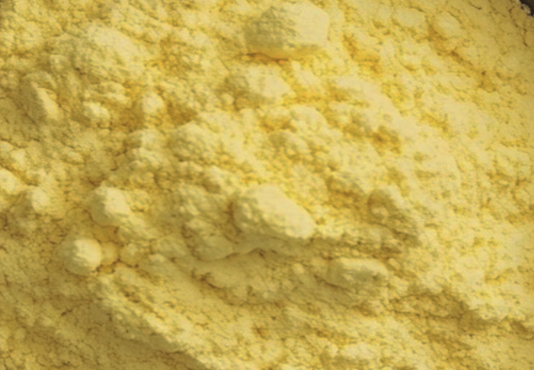 2-Fluoro-4-(4-Methyl-1-piperazinyl)benzoic Acid