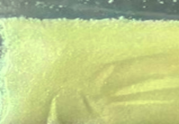 7-Bromo-4,5-dihydro-1H-benzo[b][1,4]diazepin-2(3H)-one