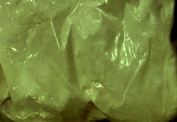 3-iodoPyridazine