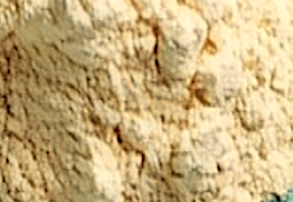 4-chloro-2-methylpyridazin-3-one
