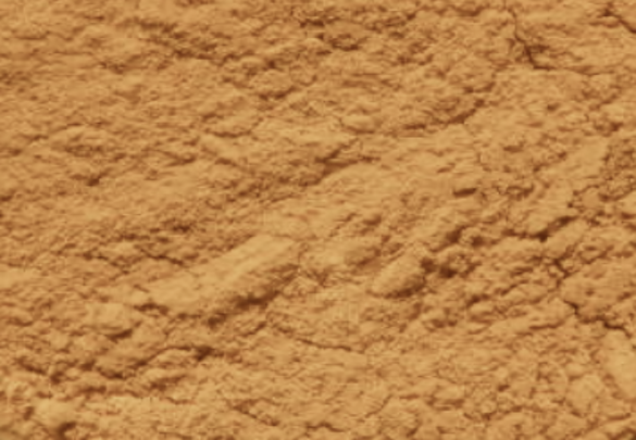 2-Bromo-2-methylpropanamide