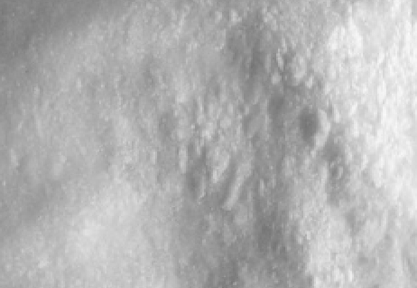 (2S)-2-methylpiperidin-4-one hydrochloride