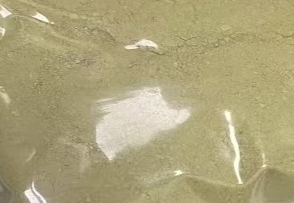 2,6-dichloro-8-methylquinoline-3-carbaldehyde