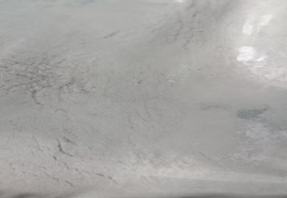 4-(4-acetamido-3-fluorophenoxy)-N-methylpicolinamide