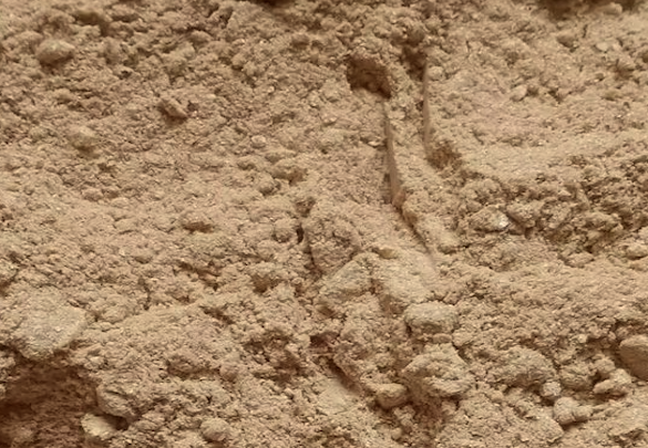 4-bromophenyl ester  Cyanic acid