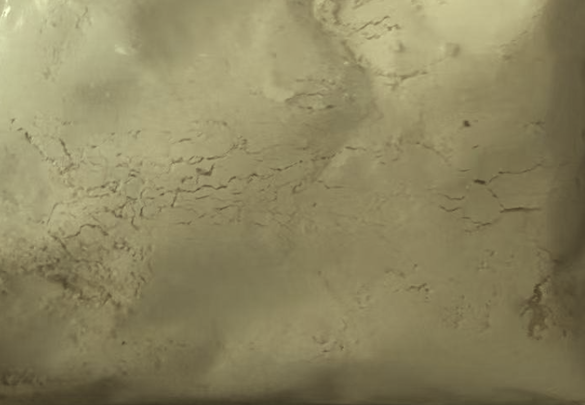 1-iodo-3-fluoronaphthalene