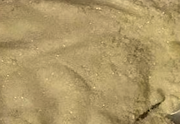 6-Chloro-1-methyl-1H-indole-2-carboxylic acid