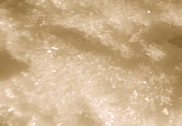 4-(2-fluoro-4-nitrophenoxy)-6,7-dimethoxyquinoline