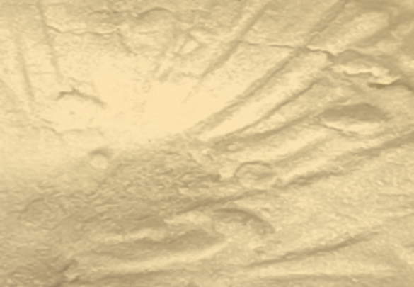 8-Methyl-5-nitroquinoline