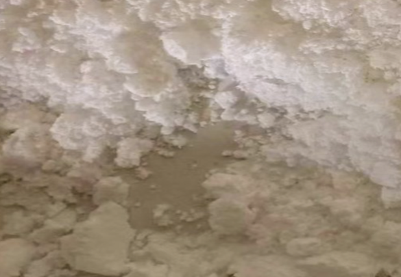 6-Methoxy-7-hydroxyquinazolin-4-one