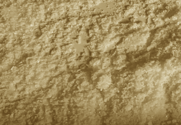 4-Pyridinecarboxaldehyde N-oxide