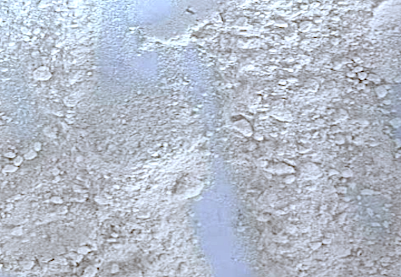 Methyl oxindole-6-carboxylate