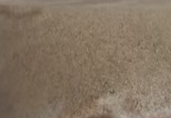 2,4-Dichloro-5-methoxypyrimidine