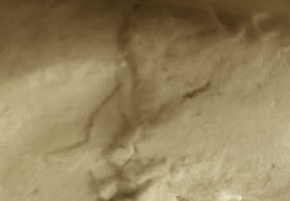 Ethyl 2-aminothiophene-3-carboxylate