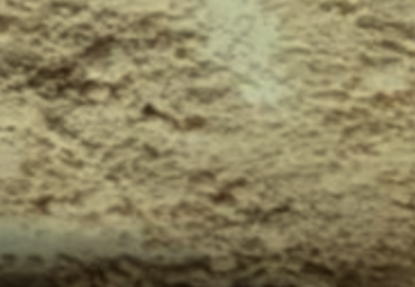 2',3'-Dihydroxy-4'-Methoxyacetophenone Hydrate