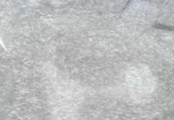 3-Amino-4-bromopyrazole