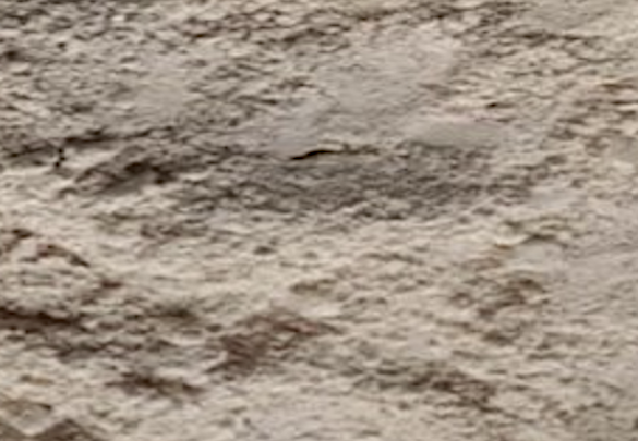 3-(7-methylquinolin-3-yl)propanoic acid