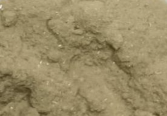 Pyrazine-2,6-Diamine Hydrochloride