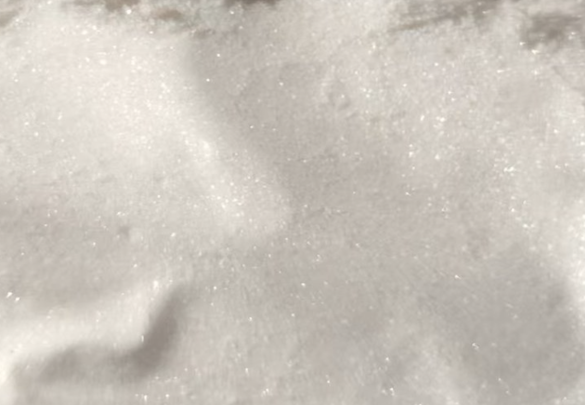 Pyridine-2,3-dicarboxamide