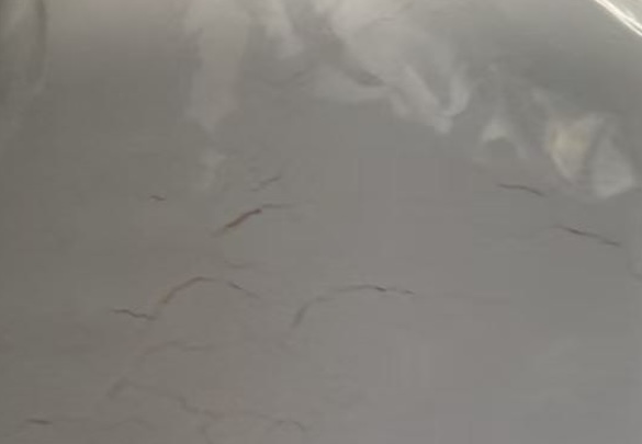 3-Chloro-6-phenylpyridazin-4-ol