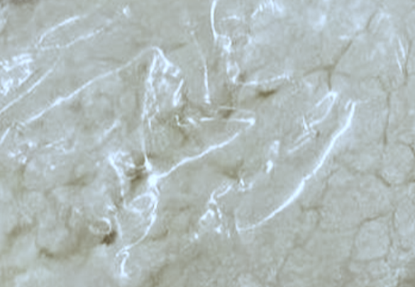 4-Methylpiperazine-1-carbonitrile