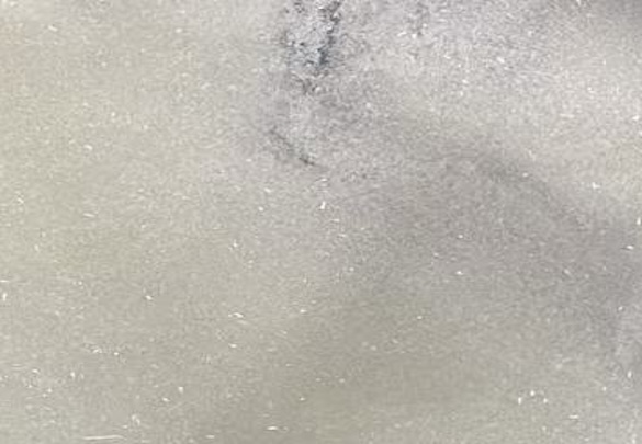 Regorafenib N-Oxide