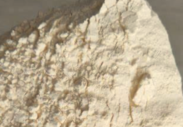 Appearance image for Methyl 2-(1-Methyl-2-pyrrolidylidene)acetate
